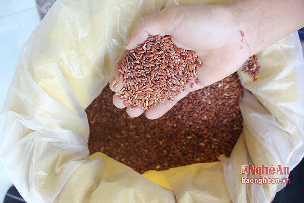 Bánh đúc đỏ đã trở thành một đặc sản dân dã của vùng quê Nghi Thịnh. Ảnh: baonghean.