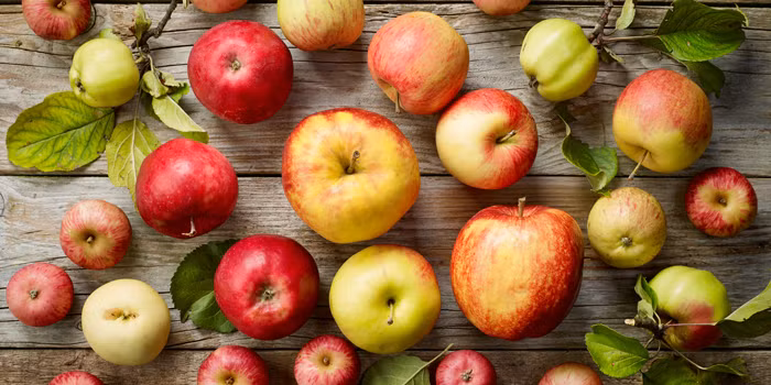 Táo có nhiều chất xơ, kali và vitamin C. Do đó, chúng có thể ngăn ngừa tích nước và hỗ trợ sức khỏe miễn dịch. Ảnh: bbcgoodfood.