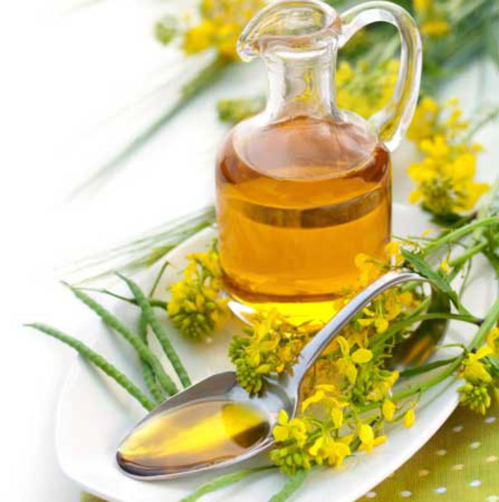 Khi sử dụng dầu olive để tắm nắng, bạn cần lưu ý chỉ sử dụng dầu olive nguyên chất. Ảnh: blogspot.