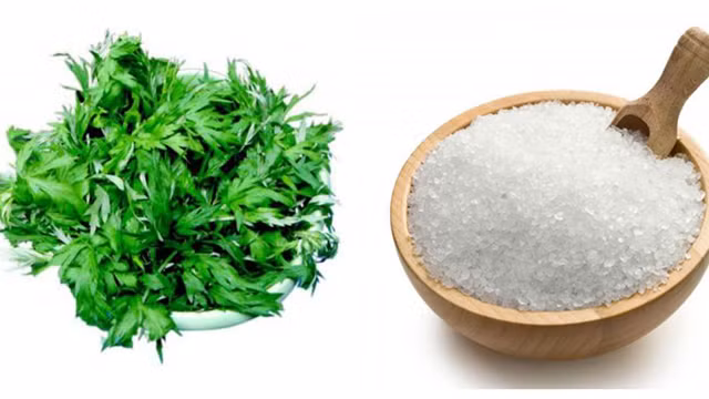 Bạn chỉ cần cho lá ngải cứu vào rang, đến khi hơi khô thì cho thêm muối hạt vào rang nóng. Ảnh: sendo.