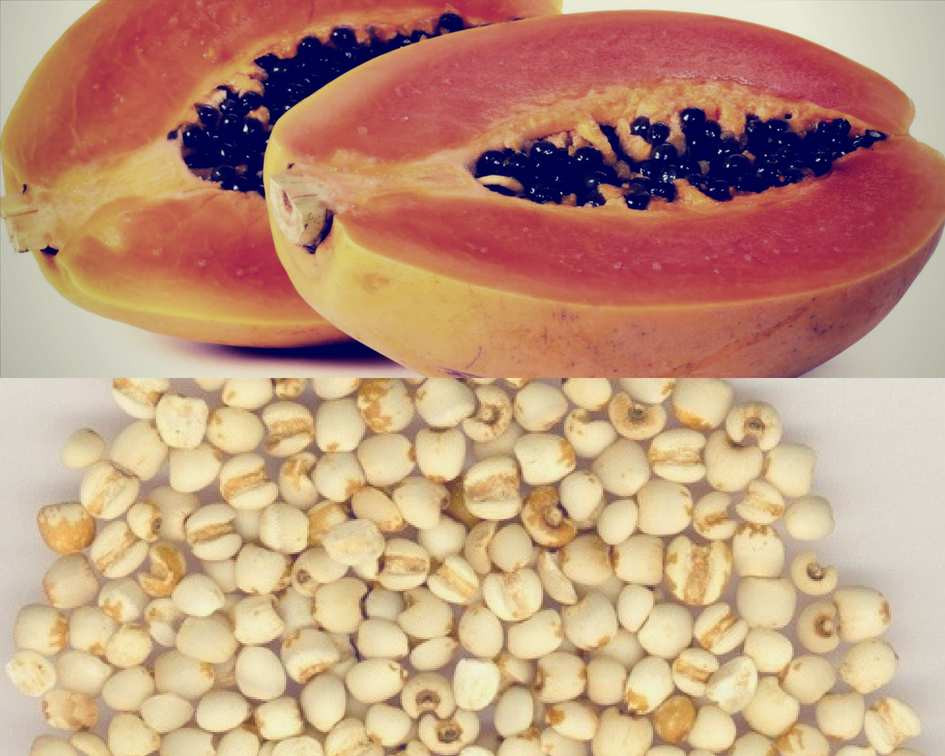 Bạn chỉ cần nửa quả đến 1 quả đu đủ cắt nhỏ đun chung với 50g mễ nhân và 2 chén nước đến khi đu đủ và mễ nhân chín mềm. Ảnh: benhviendongdo.