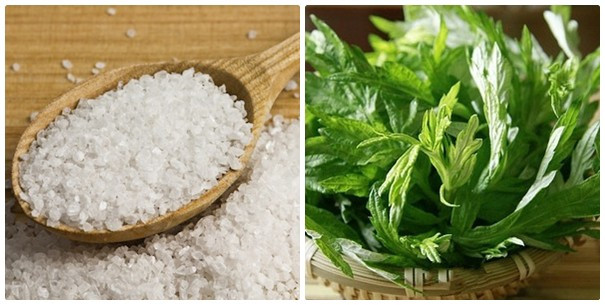 Các chất có trong lá ngải cứu như tinh dầu, avonoid, coumarin, các chất sterol cùng hơi nóng giúp cơn đau giãn ra không còn làm bạn khó chịu nữa. Ảnh: medium.