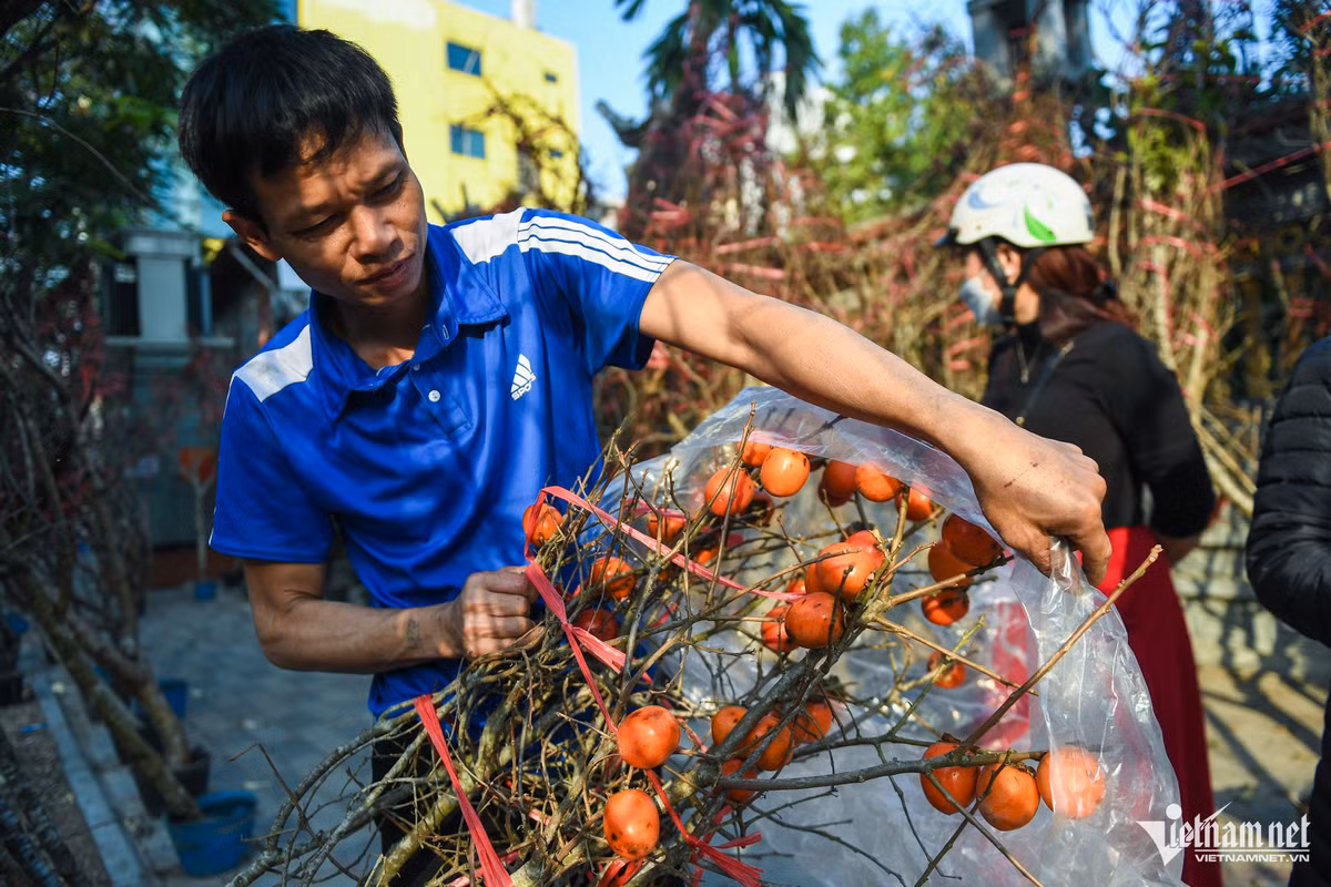 Một tiểu thương bán đào tại chợ Lạc Long Quân cho hay, ông nhập một ít cành hồng về "bán chơi", không ngờ loại hàng này lại đắt khách. "Loại cây này có vẻ lạ hơn một chút, dễ cắm, không cần chăm. Giá cho một cành lớn chỉ 300.000-800.000 đồng, rẻ hơn nhiều so với đào cảnh nên được khách chọn lựa", ông nói. 