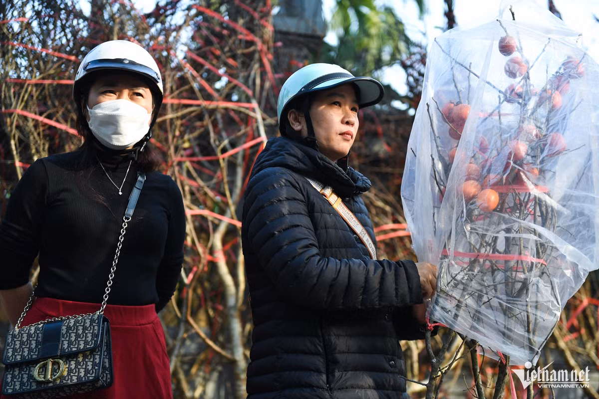 Khách nữ vào quầy của ông xem đào nhưng sau đó lại nhanh chóng mua về những cành hồng lớn chỉ với giá 400.000 đồng.