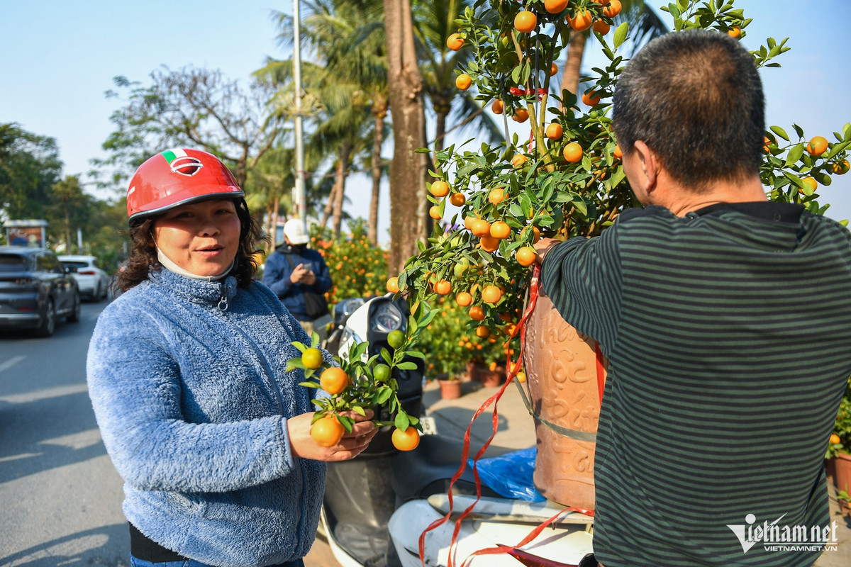 Tới lui cả buổi chiều, chị Nguyễn Thị Vân mới có thể mua được một cây quất tương đối ưng ý có giá 800.000 đồng (kèm chậu). "Năm nào nhà tôi cũng mua quất nhưng năm nay hàng không đẹp lắm, phải chọn mãi. Giá như vậy hơi cao nhưng không thể trả giá thêm nên tôi đành lấy", chị nói.