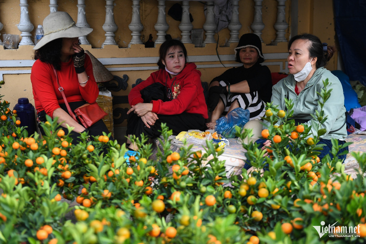 Nhiều giờ không có khách ghé mua hàng, 4 tiểu thương bán quất trên đường Lạc Long Quân tụ tập nói chuyện. Họ đều nhận xét, mẫu mã các loại quất cảnh năm nay kém hơn trước, quả thưa thớt hơn.