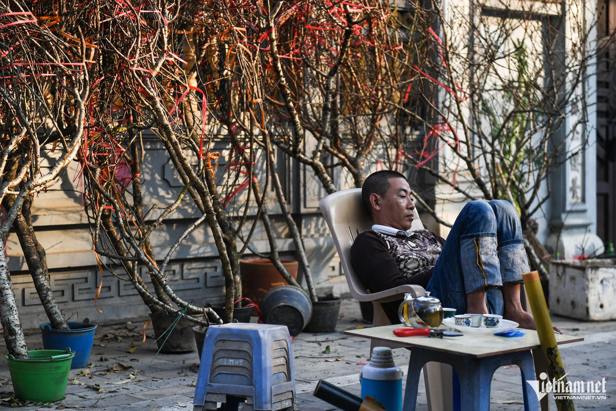 Các quầy bán đào rừng cũng trong tình cảnh tương tự. Nhiều tiểu thương vẫn mong ngóng những ngày cận Tết tình hình buôn bán sẽ được cải thiện hơn.