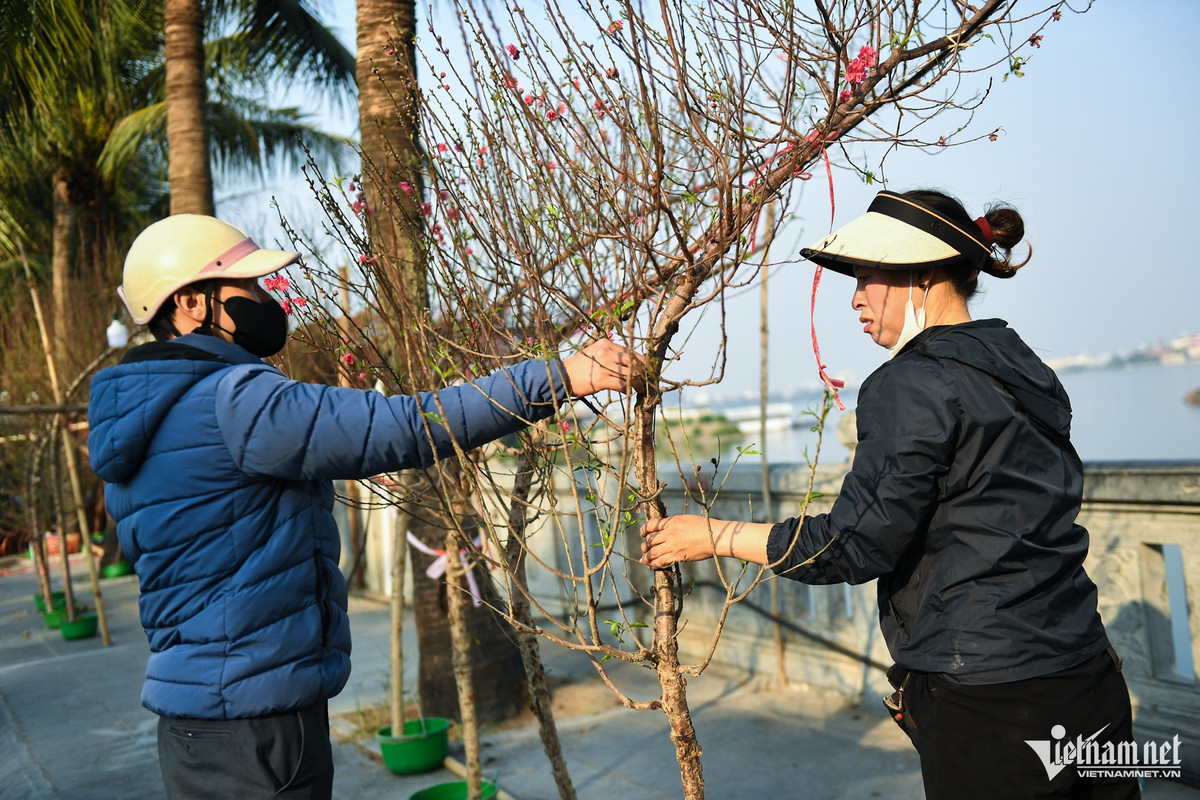Một vị khách sau hồi lâu đắn đo cũng xuống tiền mua về một cành đào dáng huyền với giá 1,5 triệu đồng. "Tết nào tôi cũng mua loại đào này cho cửa hàng nên khá rành giá. Năm ngoái cành tương tự thế này giá chỉ 1-1,2 triệu đồng", anh chia sẻ.