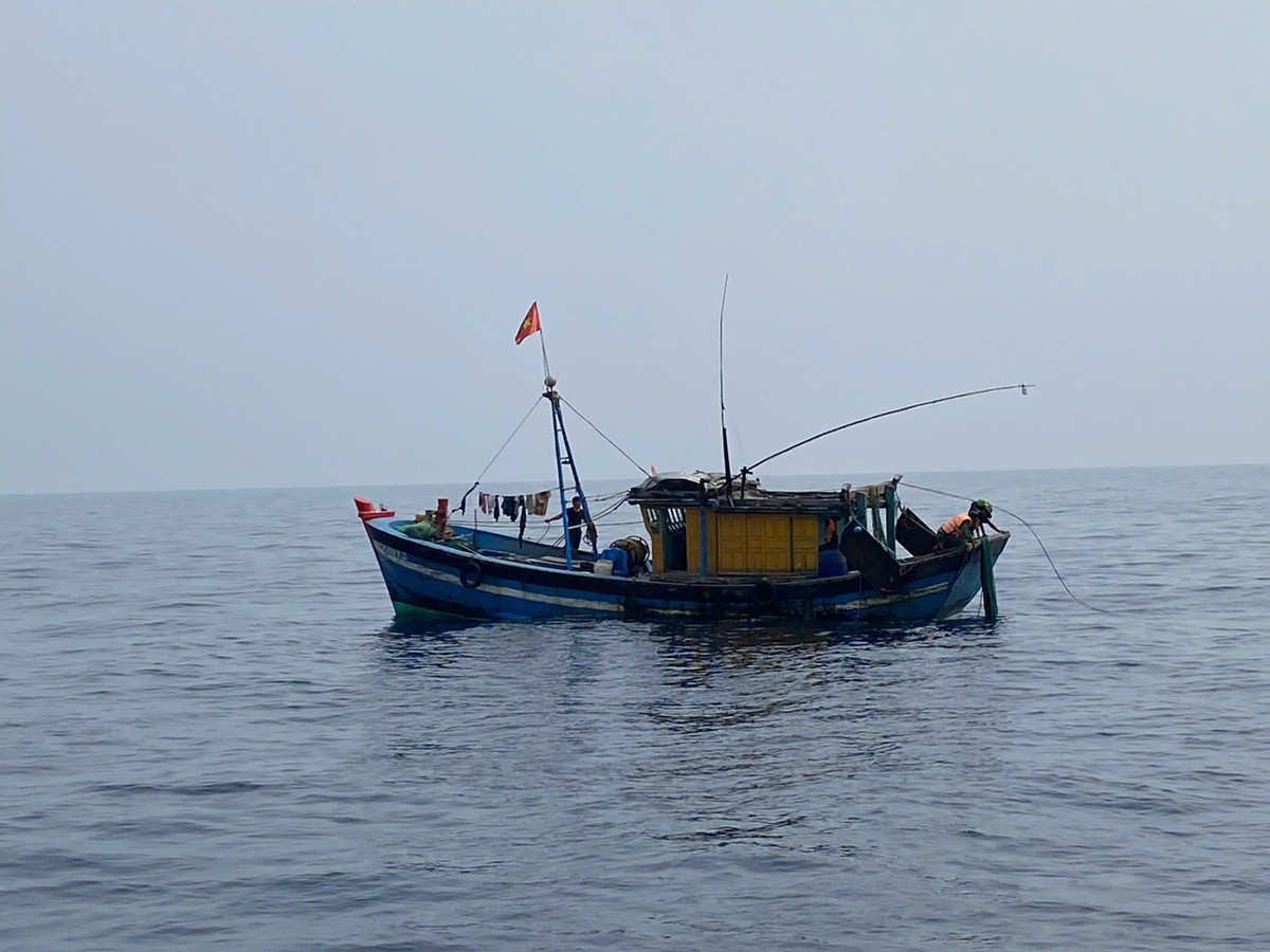 Bắt giữ hai tàu cá đánh bắt thủy sản trái phép ở Quảng Trị Bat giu hai tau ca danh bat thuy san trai phep o Quang Tri
