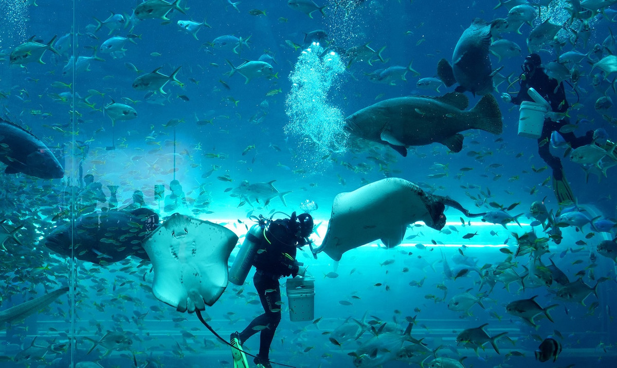 Dong vat quy hiem lien tuc duoc cuu ho va sinh san than ky tai he thong Vinpearl Safari-Hinh-6