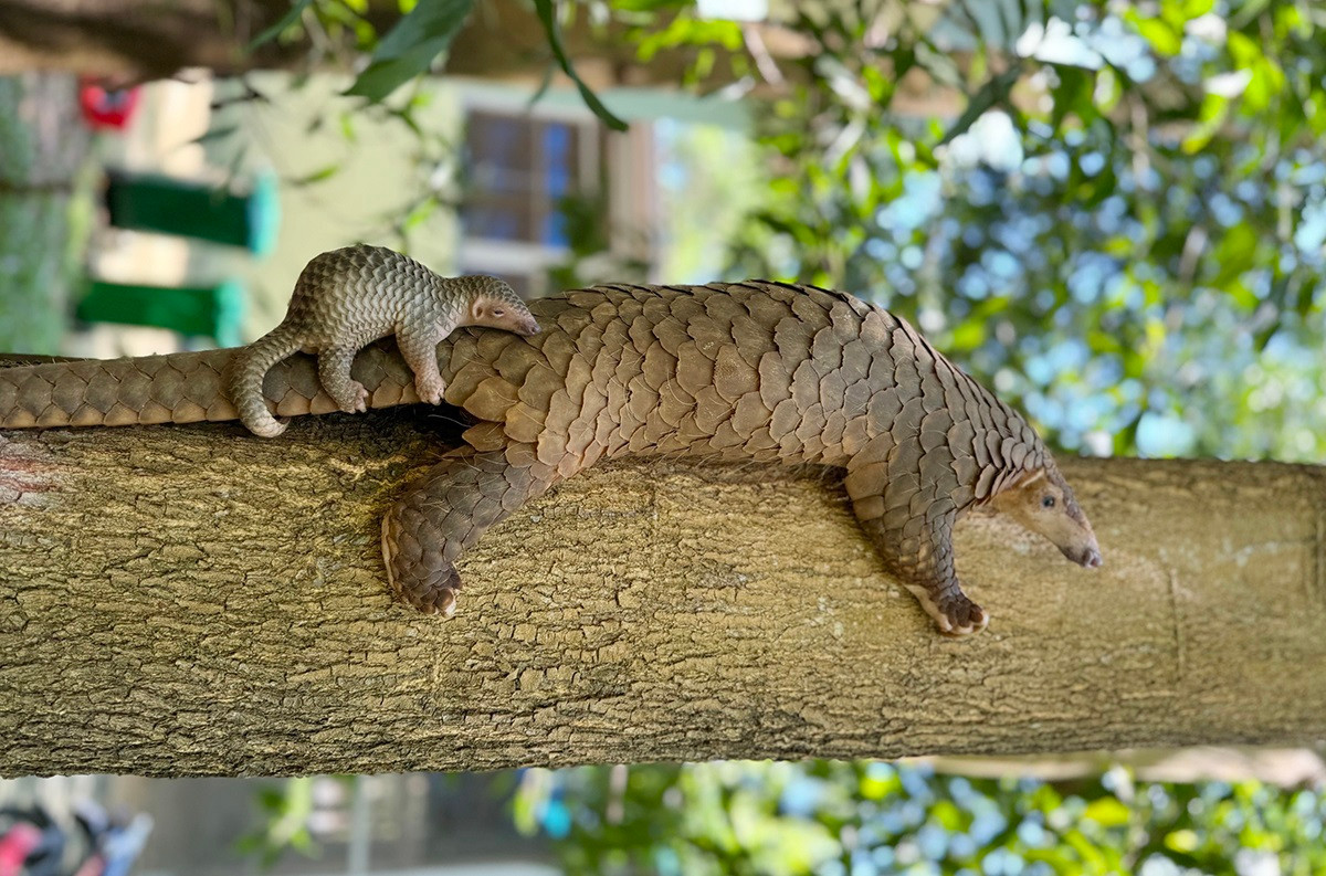 Dong vat quy hiem lien tuc duoc cuu ho va sinh san than ky tai he thong Vinpearl Safari