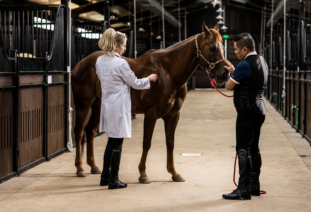 Hoc vien cuoi ngua Hoang Gia ghi danh Viet Nam len ban do mon the thao quy toc the gioi-Hinh-3