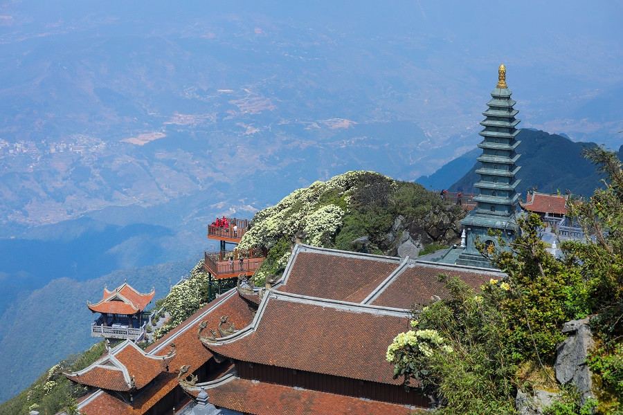 Hoa do quyen dong loat bung no, du khach do len Fansipan check-in ran ran-Hinh-10