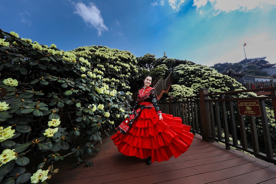 Hoa do quyen dong loat bung no, du khach do len Fansipan check-in ran ran-Hinh-8