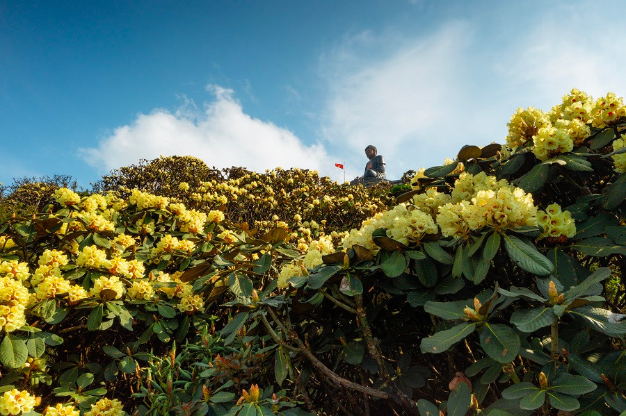 Man nhan voi ve dep than tien cua Sa Pa trong mua hoa do quyen dong loat bung no-Hinh-3