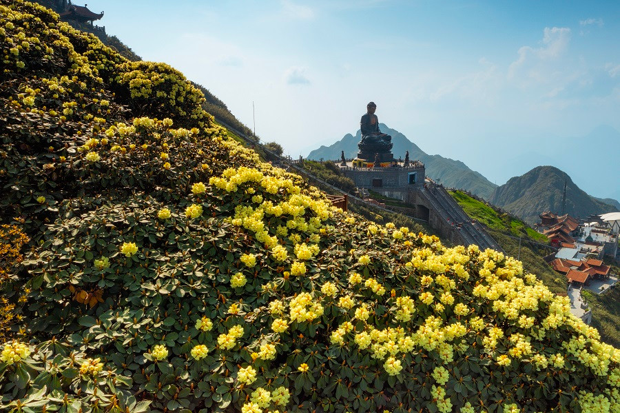 Man nhan voi ve dep than tien cua Sa Pa trong mua hoa do quyen dong loat bung no-Hinh-4