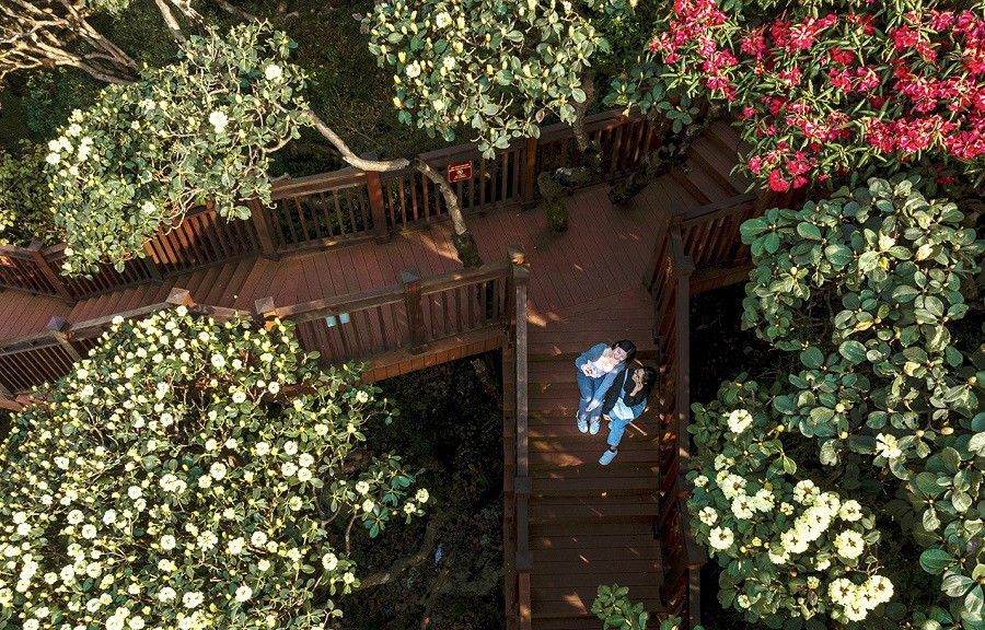 Man nhan voi ve dep than tien cua Sa Pa trong mua hoa do quyen dong loat bung no-Hinh-6