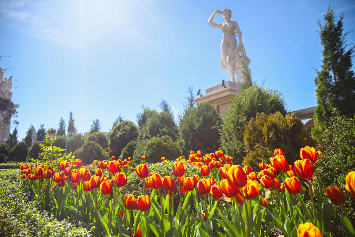 Tet Giap Thin, Ba Na Hills co gi hap dan?-Hinh-2