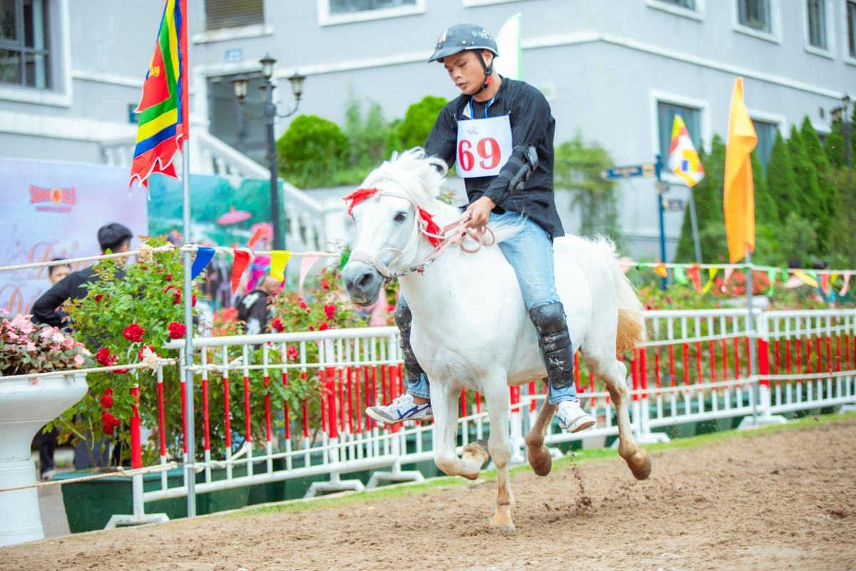 “Vo ngua tren may” – cuoc tranh hung cua cac nai ngua Tay Bac chinh thuc bat dau tu ngay 29/6-Hinh-4