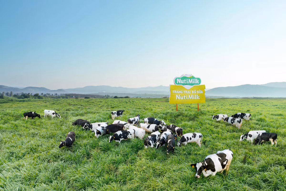 Mang Yang – Gia Lai hoi du yeu to de tro thanh “thien duong bo sua” Viet Nam-Hinh-3