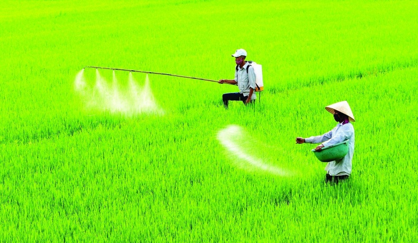 Sửa Luật thuế 71: Vì một nền nông nghiệp hiệu quả, bền vững Sua Luat thue 71: Vi mot nen nong nghiep hieu qua, ben vung