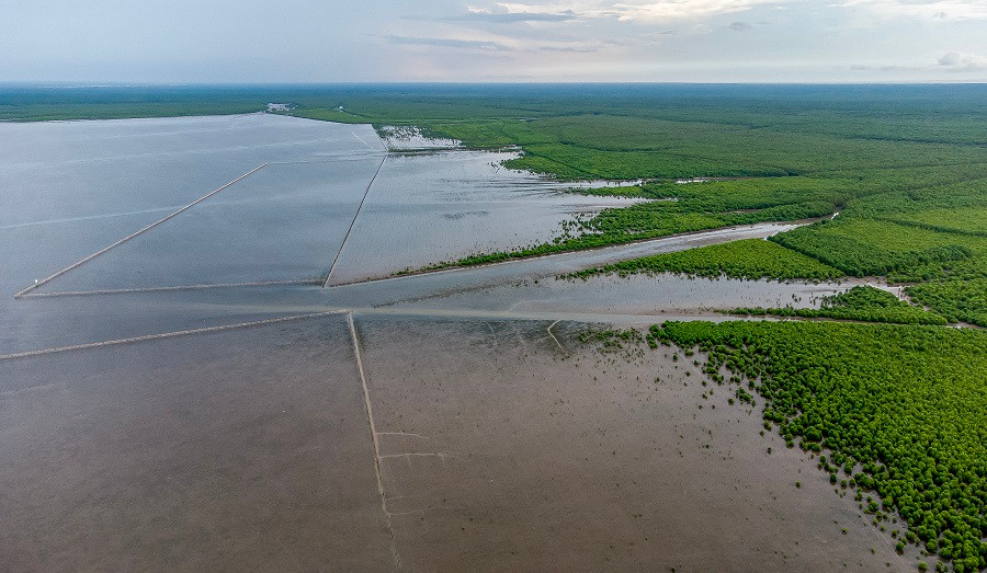 Canh rung Net Zero VINAMILK tai Cau Mau don nhung dan chim tro ve-Hinh-10
