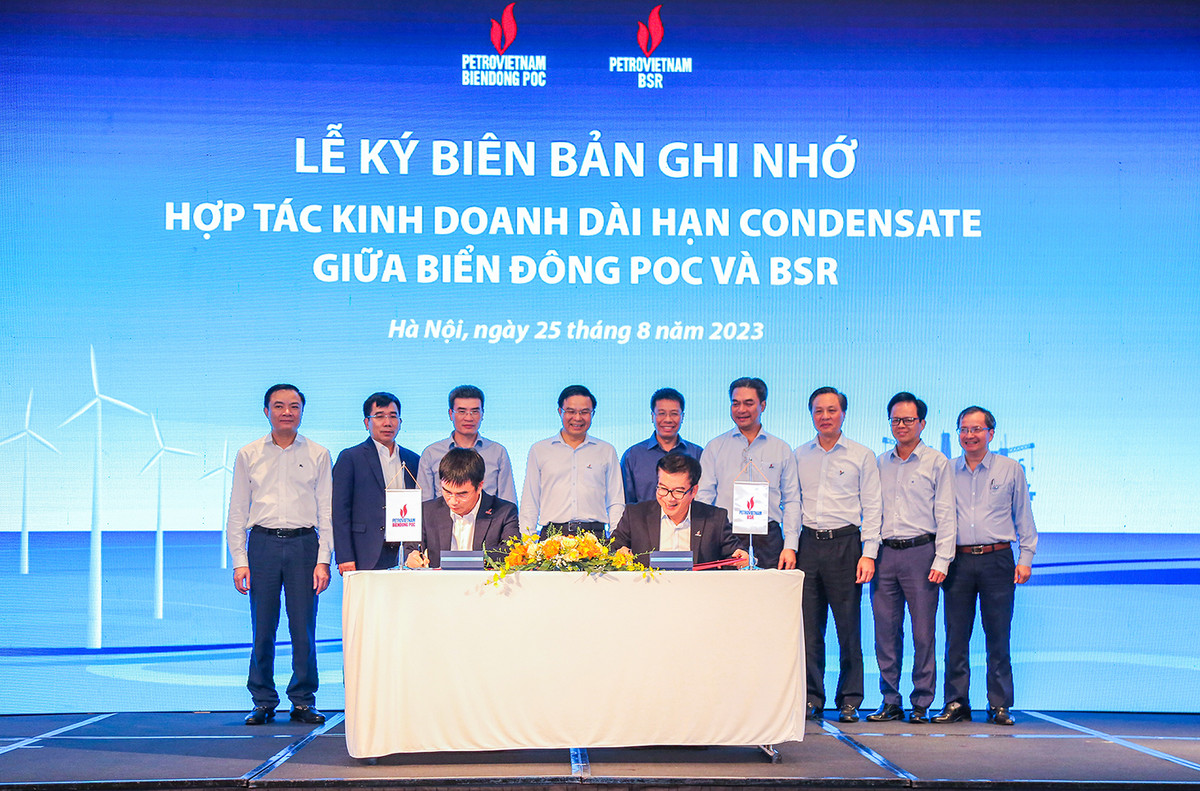 Lam moi cac dong luc: Tu ly luan va thuc tien cua PVN