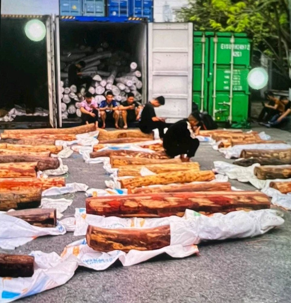 Hai Phong: Tam giu de kiem tra hang chuc tan go trac