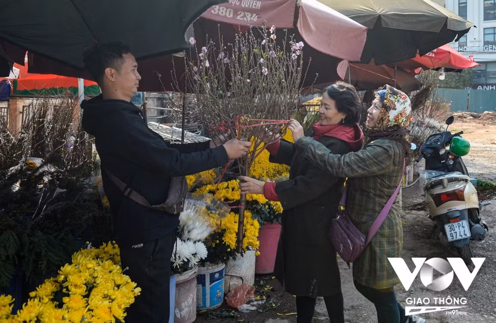 Bà Hoàng Lan, quận Ba Đình, Hà Nội cho biết, năm nào vào thời điểm này bà cũng lên chợ hoa Quảng Bá để lựa chọn cành đào về cắm chơi tết sớm. Năm nay, cùng với mua cành đào bà mua cả hoa mận, hoa lê về cắm; riêng đào cành bà Lợi mua 3 cành, trong đó 2 cành nhỏ để thắp hương giá 150 nghìn đồng, còn cành đào to hơn để bày phòng khách bà mua với giá hơn 500 nghìn đồng. Theo bà Lan, hoa đào mang lại sự bình an, may mắn và cứ thấy đào là thấy tết, vì vậy năm nào bà cũng mua về cắm sớm. 