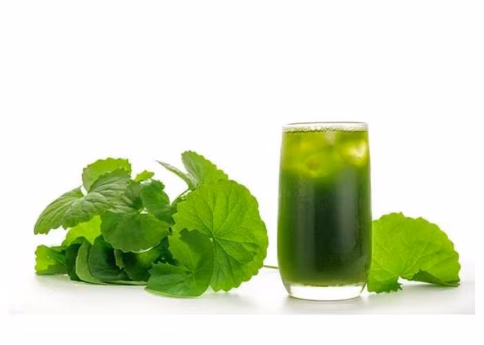 Nhung sai lam khi uong nuoc rau ma giai nhiet-Hinh-2