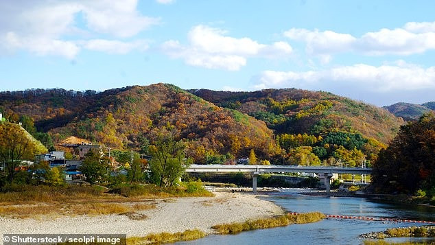 Người phụ nữ mất mạng vì thử lòng trung thành của chó cưng - Hình 4 Nguoi phu nu mat mang vi thu long trung thanh cua cho cung-Hinh-4