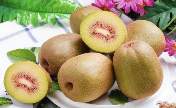 Kiwi xanh, do, vang, loai nao gia tri dinh duong cao va ngon hon?