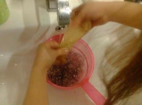 2 loai qua an xong trong cay canh vua de vua dep - doc - la-Hinh-2