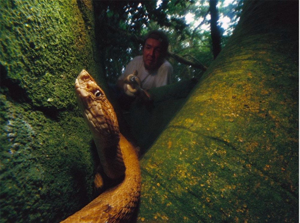 Hon dao tram nghin ran doc, noi loai nguoi khong dam dat chan