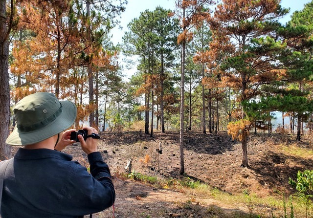 Du an Sai Gon Dai Ninh cua dai gia Nguyen Cao Tri “dung banh“-Hinh-5