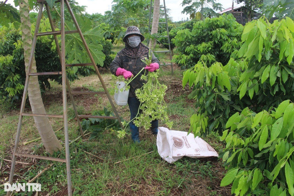 Ru nhau trong thu du du “diec”, khong ngo nhat tien da tay-Hinh-3
