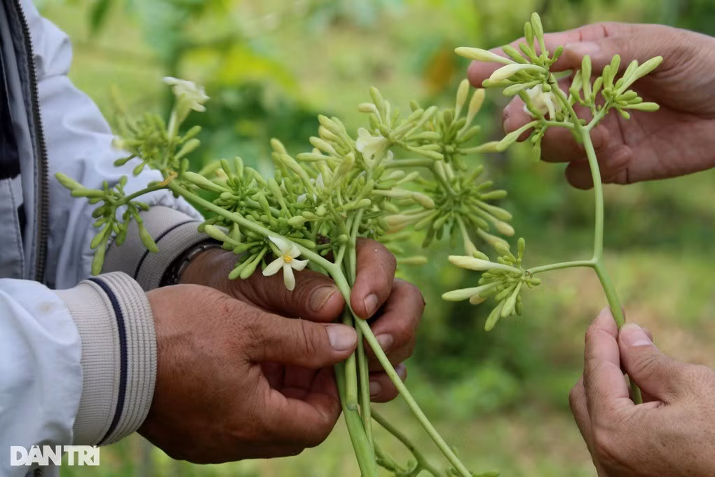 Ru nhau trong thu du du “diec”, khong ngo nhat tien da tay-Hinh-4