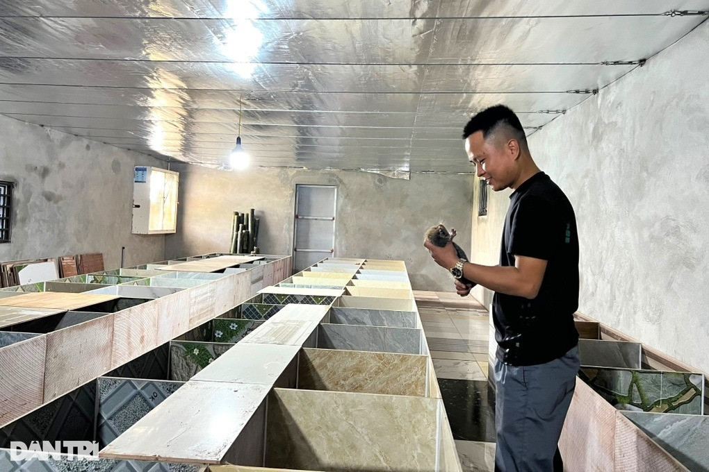 Kỹ sư 9X nuôi loài “ăn đêm ngủ ngày”, mỗi năm lãi 200 triệu đồng Ky su 9X nuoi loai “an dem ngu ngay”, moi nam lai 200 trieu dong