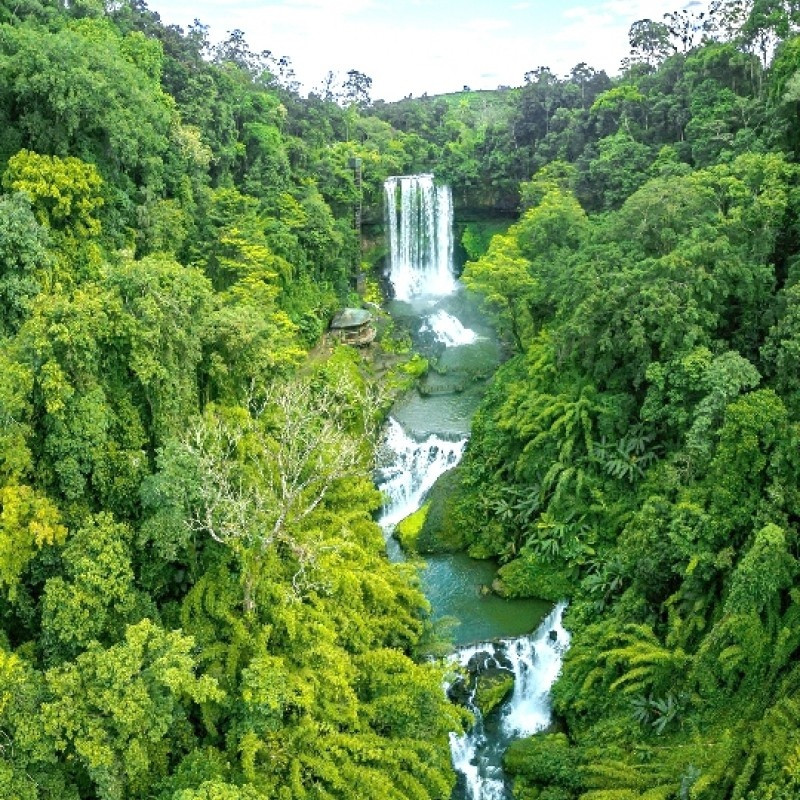 Thac Damb'ri - Chon bong lai giua dai ngan Bao Loc-Hinh-4