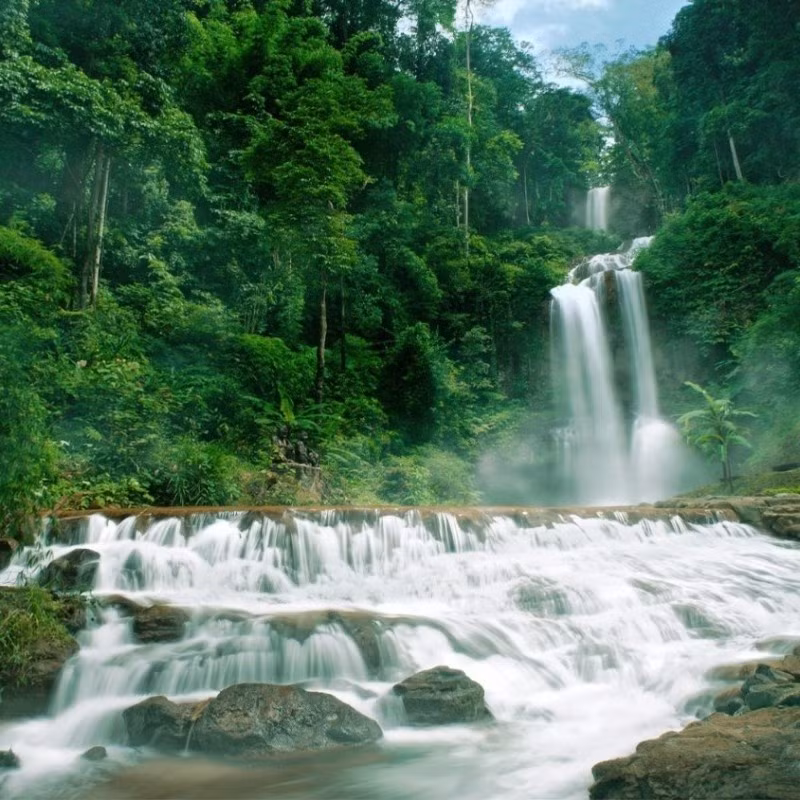 Thac Damb'ri - Chon bong lai giua dai ngan Bao Loc-Hinh-5
