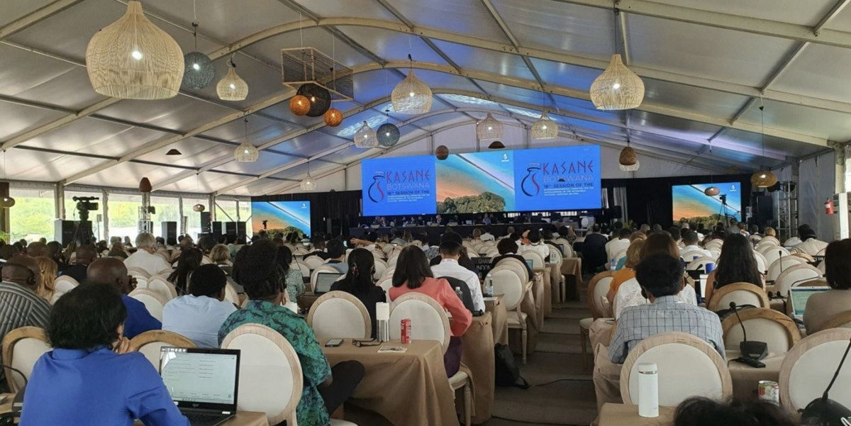 Viet Nam trung cu Pho Chu tich mot uy ban then chot cua UNESCO-Hinh-2