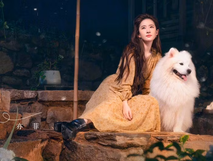 Luu Diec Phi lo diem yeu-Hinh-7