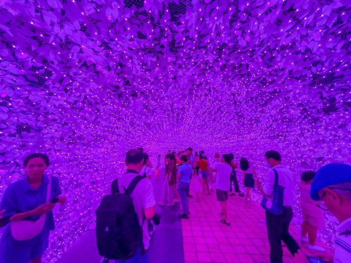 Chen chan “check-in” cong vien anh sang lan dau xuat hien o Da Nang-Hinh-8