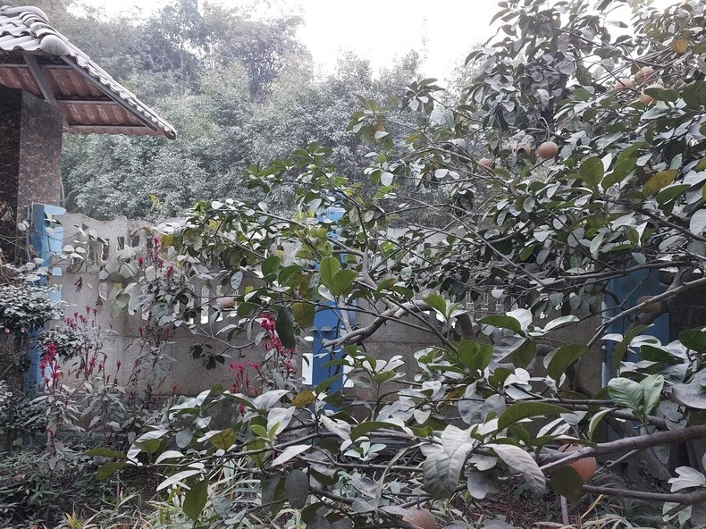 Ho So Cty Thang Loi khai thac khoang san trai phep, phat 667 trieu dong-Hinh-2