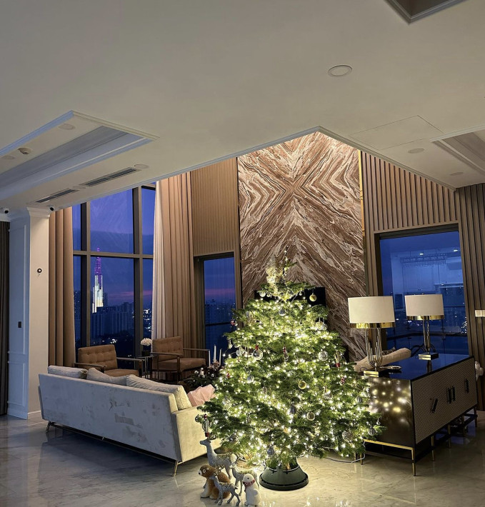 Nang A hau mo thay the Ho Ngoc Ha lam 'Nu hoang giai tri'-Hinh-2