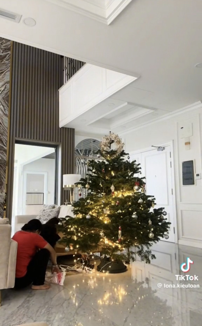 Nang A hau mo thay the Ho Ngoc Ha lam 'Nu hoang giai tri'-Hinh-3