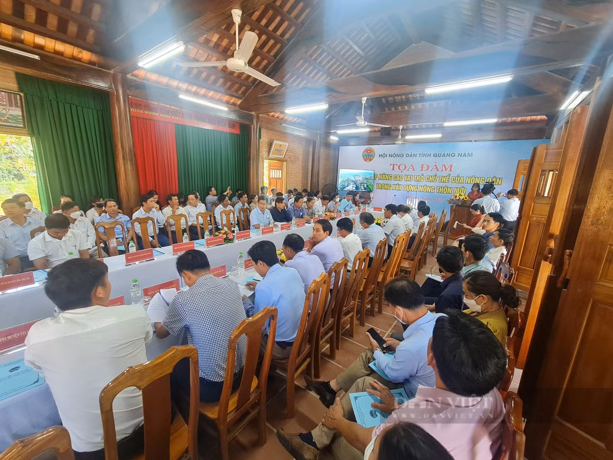 Quang Nam: Hai ra tien tu kinh te vuon, thu ca tram trieu/nam-Hinh-11