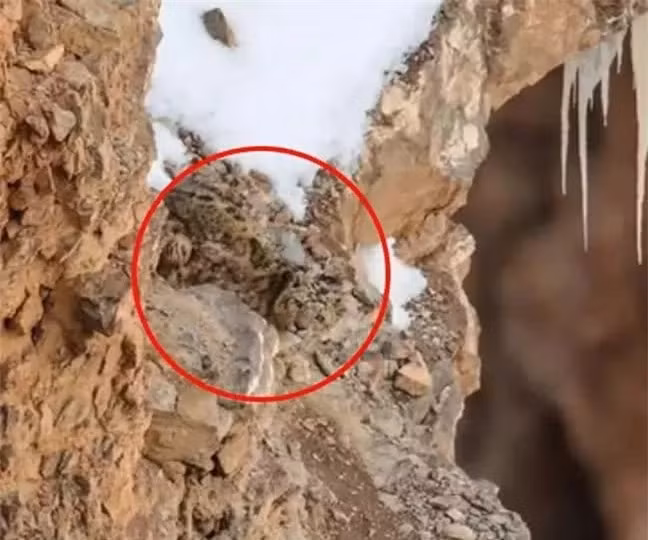 Bao tuyet: Bac thay nguy trang, co the tang hinh truoc ong kinh may anh-Hinh-2