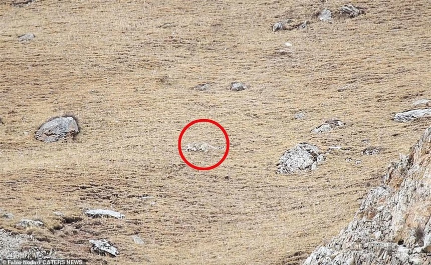 Bao tuyet: Bac thay nguy trang, co the tang hinh truoc ong kinh may anh-Hinh-6