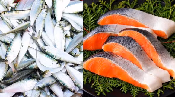 Loai ca chua omega 3 giong nhu ca hoi nhung re hon